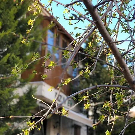 Bizim Ev Alacati Bed & Breakfast Izmir