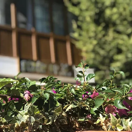 Bizim Ev Alacati Bed & Breakfast *