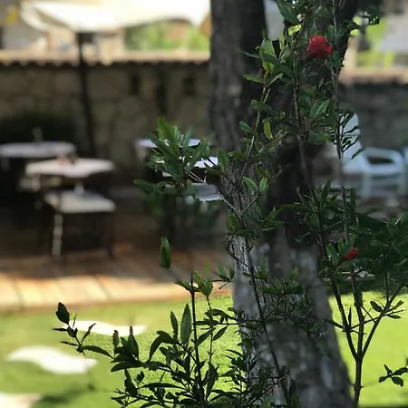 Bed & Breakfast Bizim Ev Alacati *