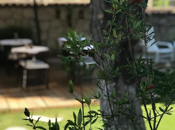 Alojamento de Acomodação e Pequeno-almoço Bizim Ev Alaçatı *