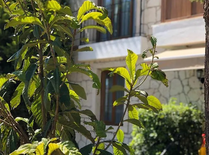 Bizim Ev Alacati * Smirne