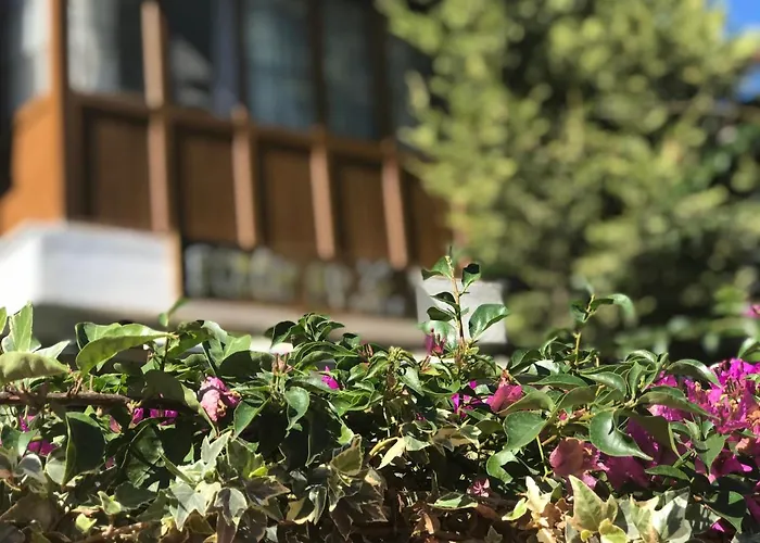 Bizim Ev Alaçatı Couette-café *