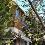 Bizim Ev Alacati 住宿加早餐酒店 伊兹密尔