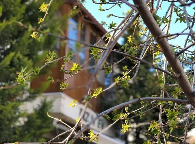 Bizim Ev Alacati Panzió İzmir